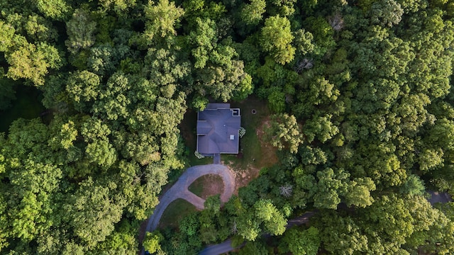 577 Frontier Bluff Rd, Lookout Mountain, GA 30750 - photo 65