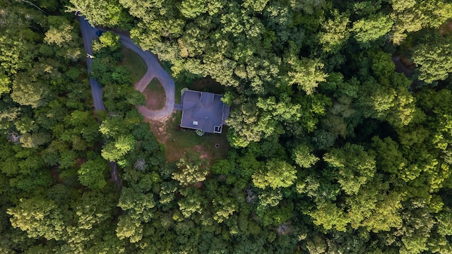 577 Frontier Bluff Rd, Lookout Mountain, GA 30750 - photo 66