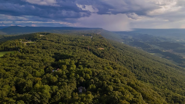 577 Frontier Bluff Rd, Lookout Mountain, GA 30750 - photo 71
