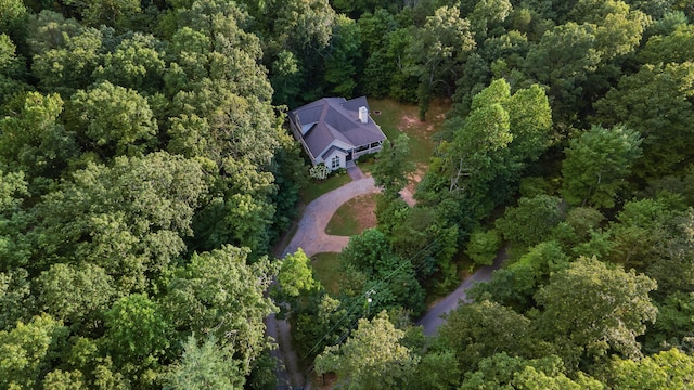 577 Frontier Bluff Rd, Lookout Mountain, GA 30750 - photo 69