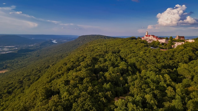 577 Frontier Bluff Rd, Lookout Mountain, GA 30750 - photo 5