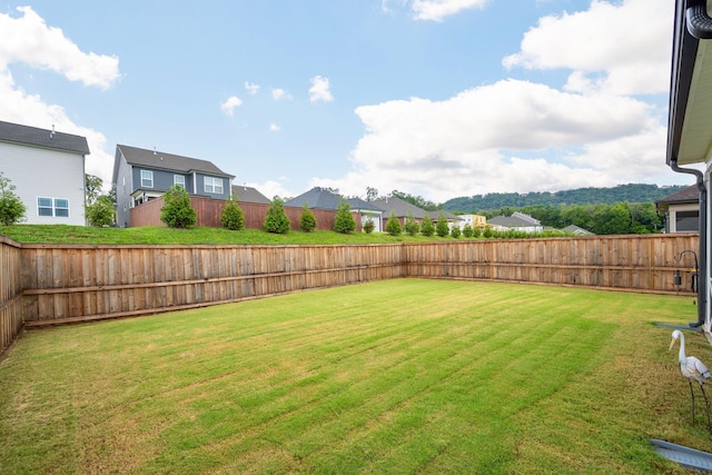 7382 Dividing Way, Ooltewah, TN 37363 - photo 34