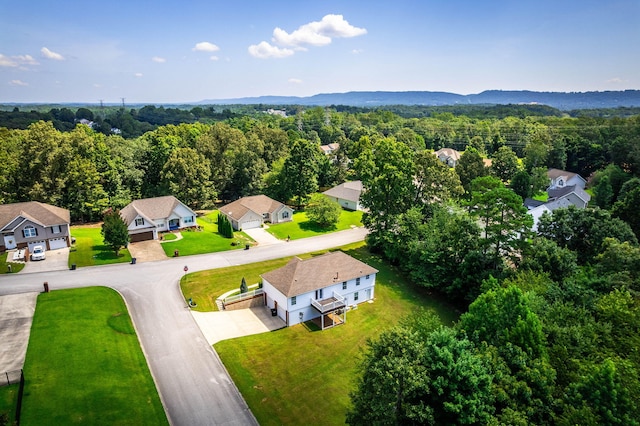 6376 Pringle Dr, Ooltewah, TN 37363 - photo 39