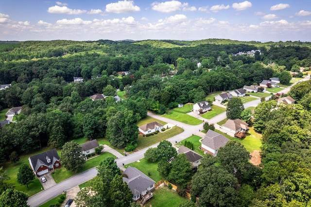 6376 Pringle Dr, Ooltewah, TN 37363 - photo 41