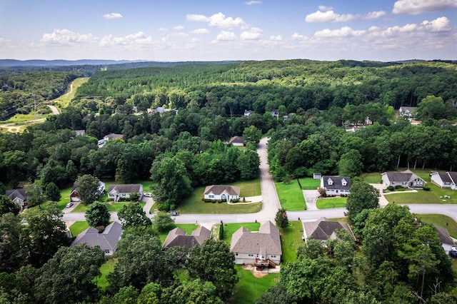 6376 Pringle Dr, Ooltewah, TN 37363 - photo 42