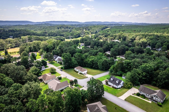 6376 Pringle Dr, Ooltewah, TN 37363 - photo 43