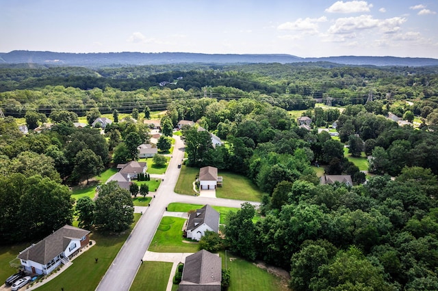 6376 Pringle Dr, Ooltewah, TN 37363 - photo 44