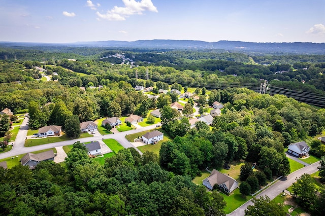 6376 Pringle Dr, Ooltewah, TN 37363 - photo 45