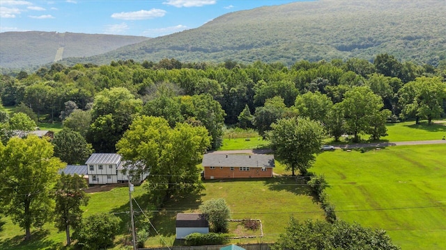 380 Overlook Dr, Whitwell, TN 37397 - photo 29