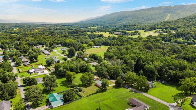 380 Overlook Dr, Whitwell, TN 37397 - photo 31
