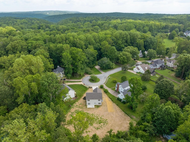 3619 Gentry Station Dr, Signal Mountain, TN 37377 - photo 47