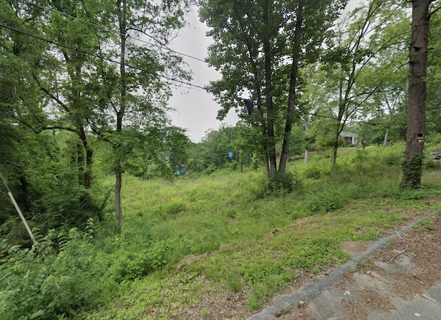 919 Mocking Bird Dr, Chattanooga, TN 37412 - photo 3