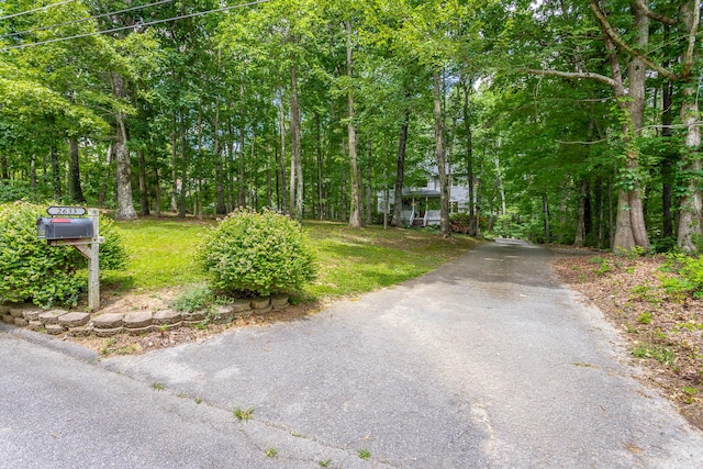 2633 Laurel Creek Dr, Signal Mountain, TN 37377 - photo 69