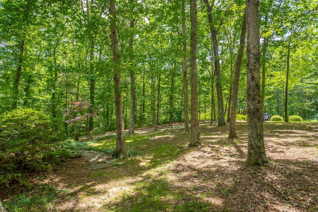 2633 Laurel Creek Dr, Signal Mountain, TN 37377 - photo 75