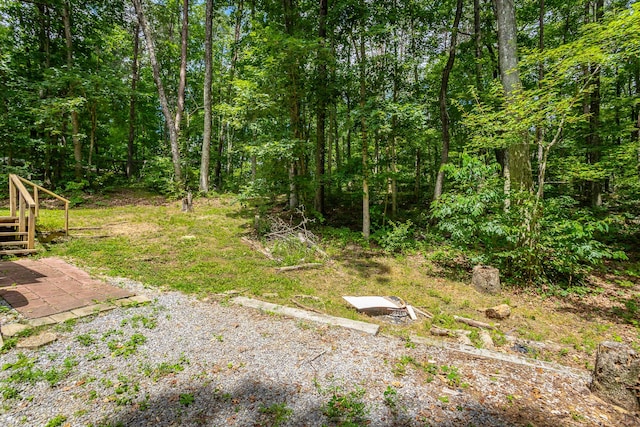 2633 Laurel Creek Dr, Signal Mountain, TN 37377 - photo 80