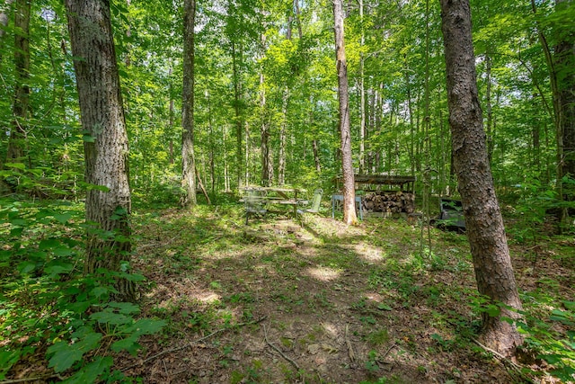2633 Laurel Creek Dr, Signal Mountain, TN 37377 - photo 81