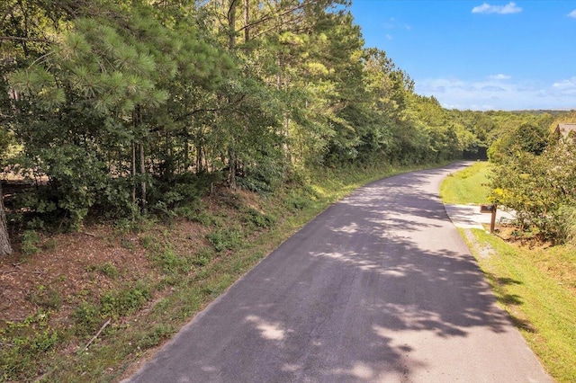 0 Old Free Hope Rd, Chatsworth, GA 30705 - photo 2