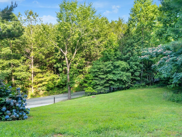 1441 Sloans Gap Rd, Ocoee, TN 37361 - photo 28