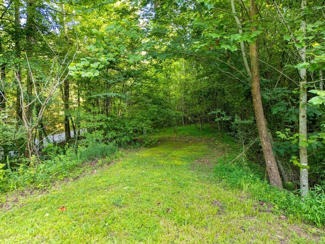 1441 Sloans Gap Rd, Ocoee, TN 37361 - photo 31