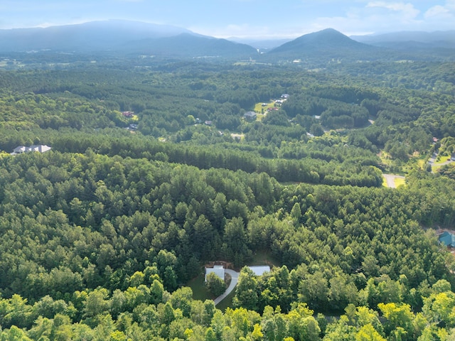 1441 Sloans Gap Rd, Ocoee, TN 37361 - photo 33