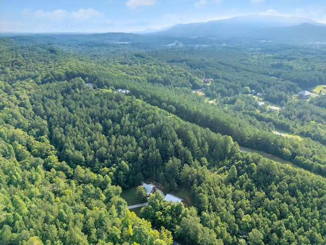 1441 Sloans Gap Rd, Ocoee, TN 37361 - photo 34