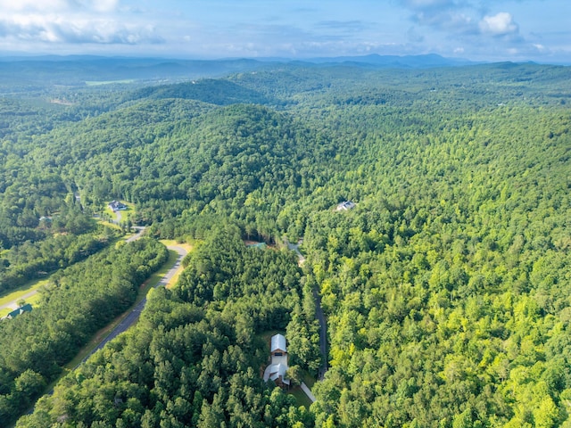 1441 Sloans Gap Rd, Ocoee, TN 37361 - photo 35