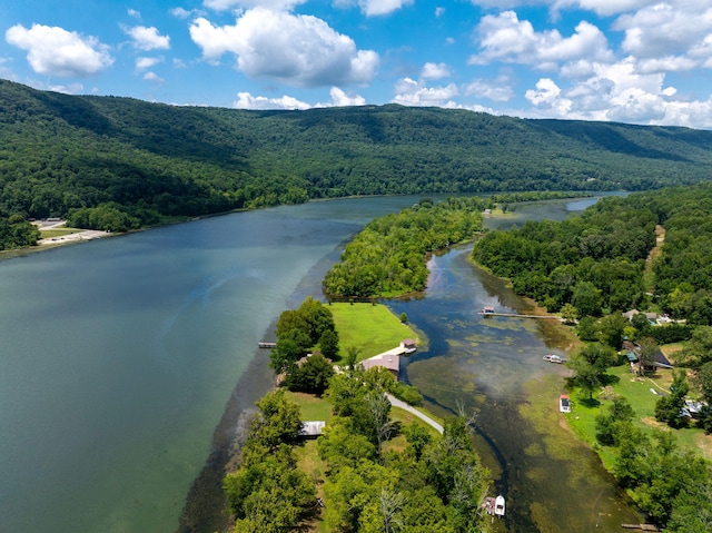10350 Mullins Cove Rd, Whitwell, TN 37397 - photo 3
