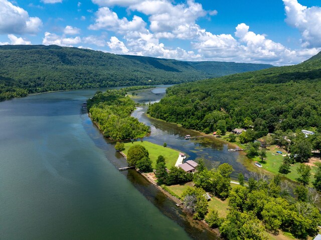 10350 Mullins Cove Rd, Whitwell, TN 37397 - photo 4