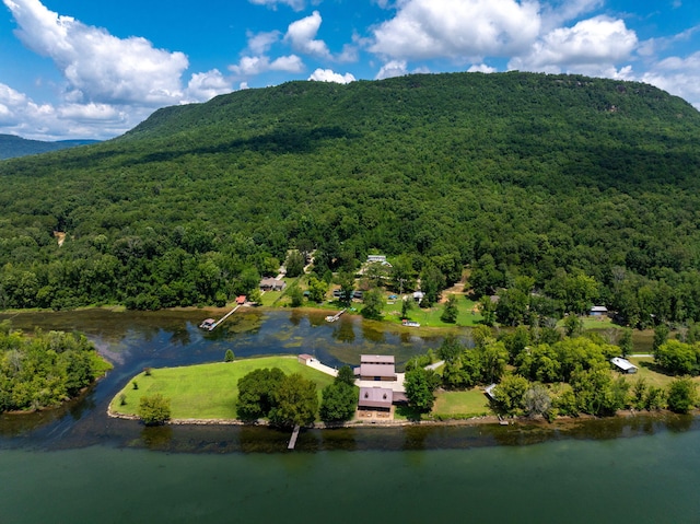10350 Mullins Cove Rd, Whitwell, TN 37397 - photo 5