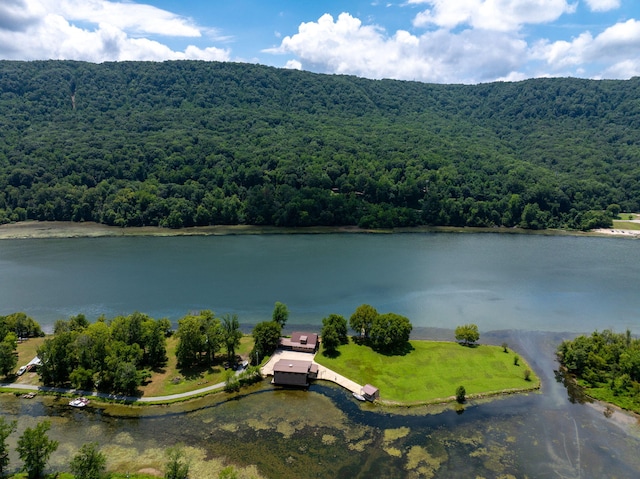 10350 Mullins Cove Rd, Whitwell, TN 37397 - photo 8