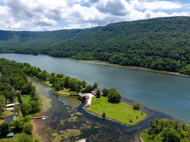 10350 Mullins Cove Rd, Whitwell, TN 37397 - photo 9