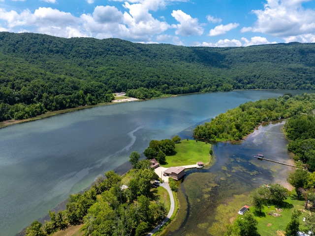 10350 Mullins Cove Rd, Whitwell, TN 37397 - photo 11