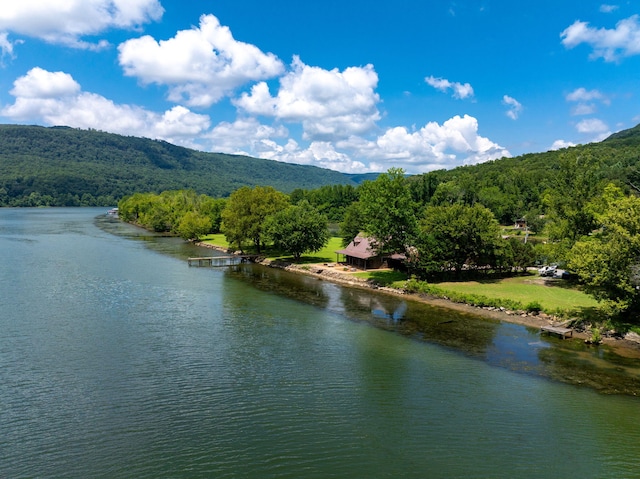 10350 Mullins Cove Rd, Whitwell, TN 37397 - photo 14