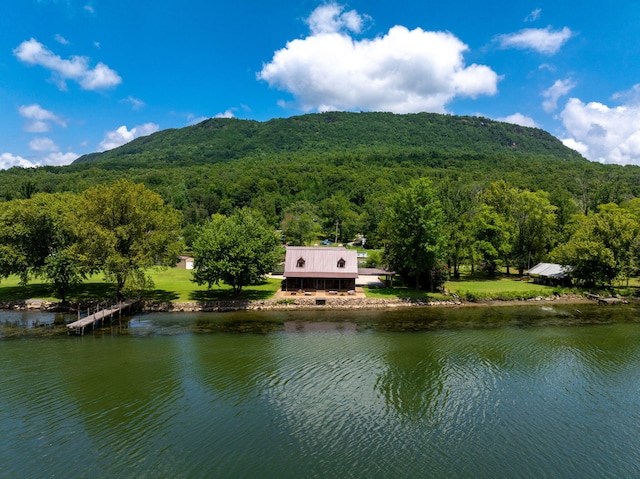 10350 Mullins Cove Rd, Whitwell, TN 37397 - photo 86