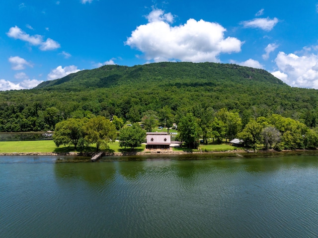 10350 Mullins Cove Rd, Whitwell, TN 37397 - photo 15