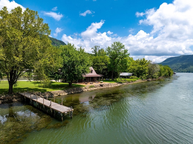 10350 Mullins Cove Rd, Whitwell, TN 37397 - photo 16