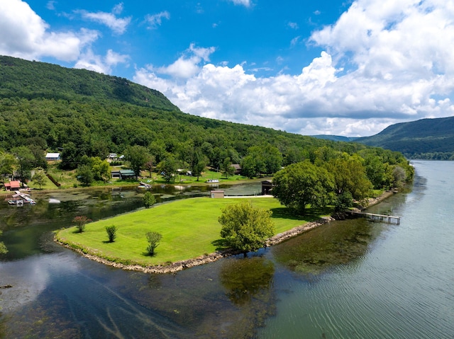 10350 Mullins Cove Rd, Whitwell, TN 37397 - photo 19