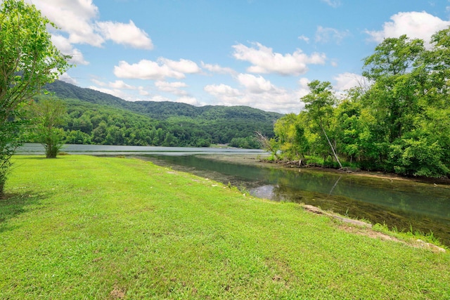 10350 Mullins Cove Rd, Whitwell, TN 37397 - photo 38