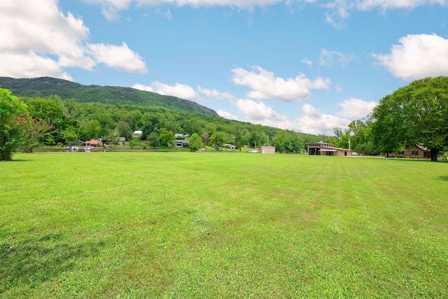 10350 Mullins Cove Rd, Whitwell, TN 37397 - photo 90