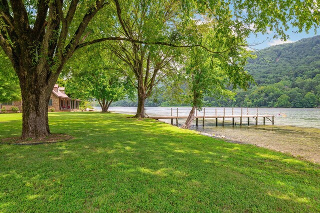 10350 Mullins Cove Rd, Whitwell, TN 37397 - photo 40