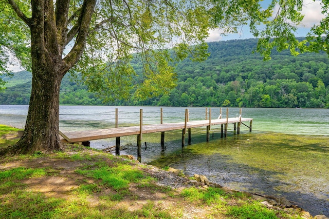 10350 Mullins Cove Rd, Whitwell, TN 37397 - photo 41