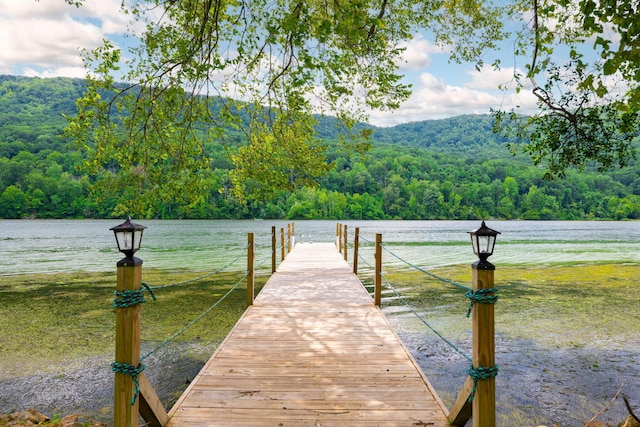 10350 Mullins Cove Rd, Whitwell, TN 37397 - photo 42
