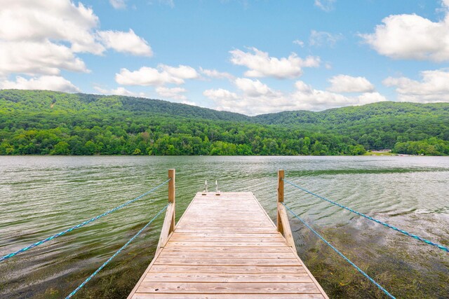 10350 Mullins Cove Rd, Whitwell, TN 37397 - photo 96