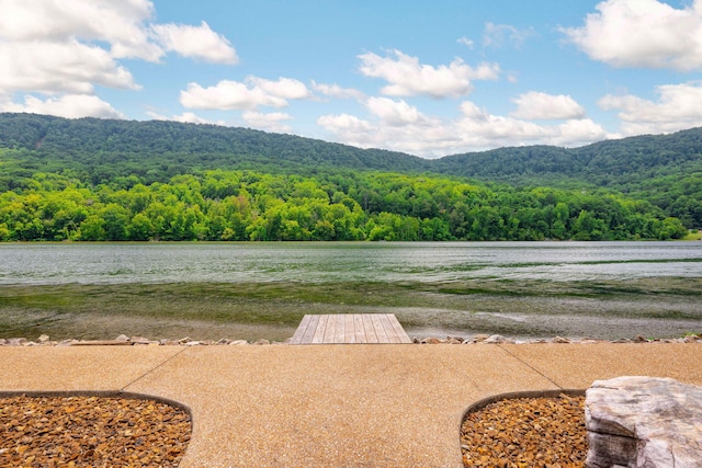 10350 Mullins Cove Rd, Whitwell, TN 37397 - photo 89