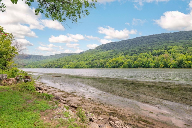 10350 Mullins Cove Rd, Whitwell, TN 37397 - photo 48