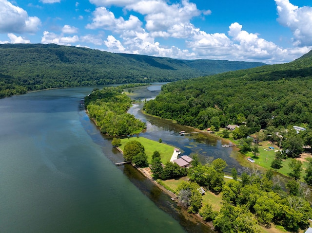 10350 Mullins Cove Rd, Whitwell, TN 37397 - photo 95
