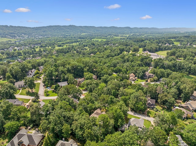 1418 Oakhurst Dr, Ooltewah, TN 37363 - photo 78