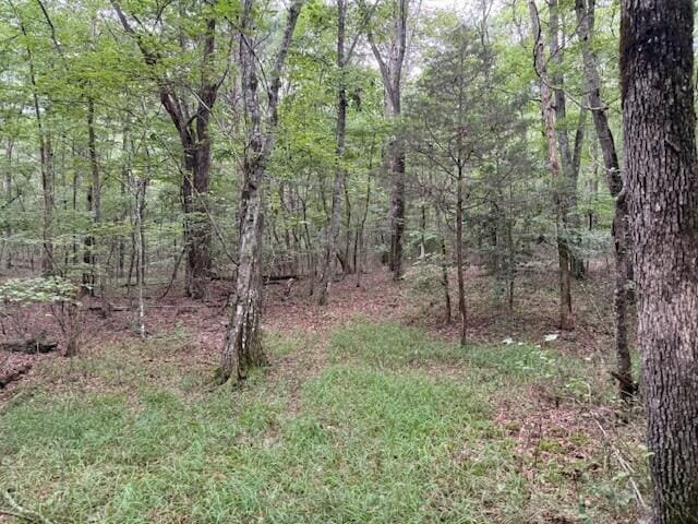 LOT123 Timberwood Trce Lot 123, Monteagle, TN 37356 - photo 9