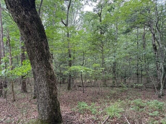 LOT123 Timberwood Trce Lot 123, Monteagle, TN 37356 - photo 14