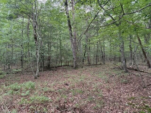 LOT123 Timberwood Trce Lot 123, Monteagle, TN 37356 - photo 15